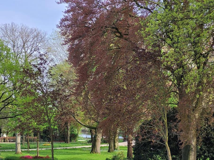 Mit Blick In Den Emsseepark Варендорф Екстер'єр фото